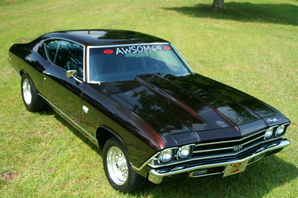 1969 Chevelle - Race/Street ready  for Sale $29,995 