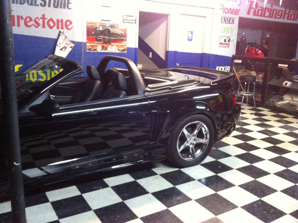 1999 Ford Mustang  for Sale $48,000 